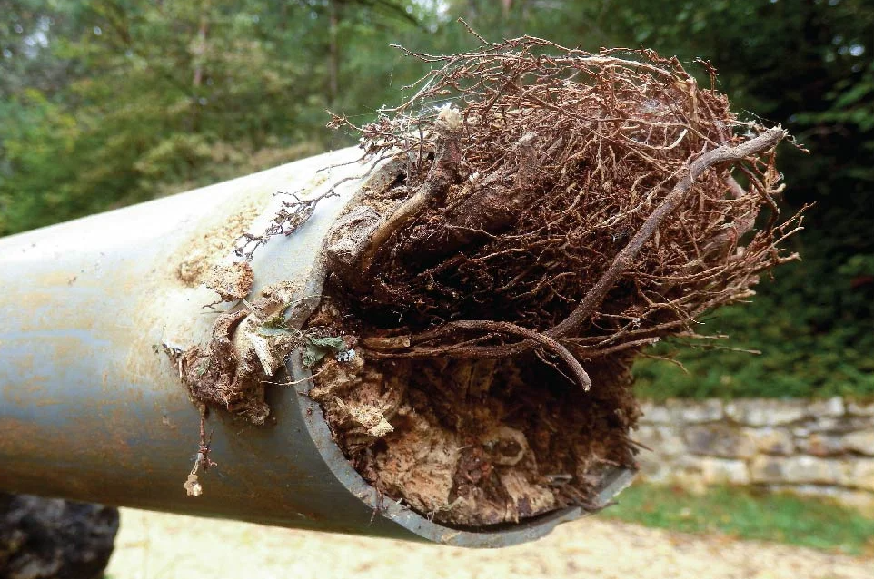 sewer line drain pipe clog