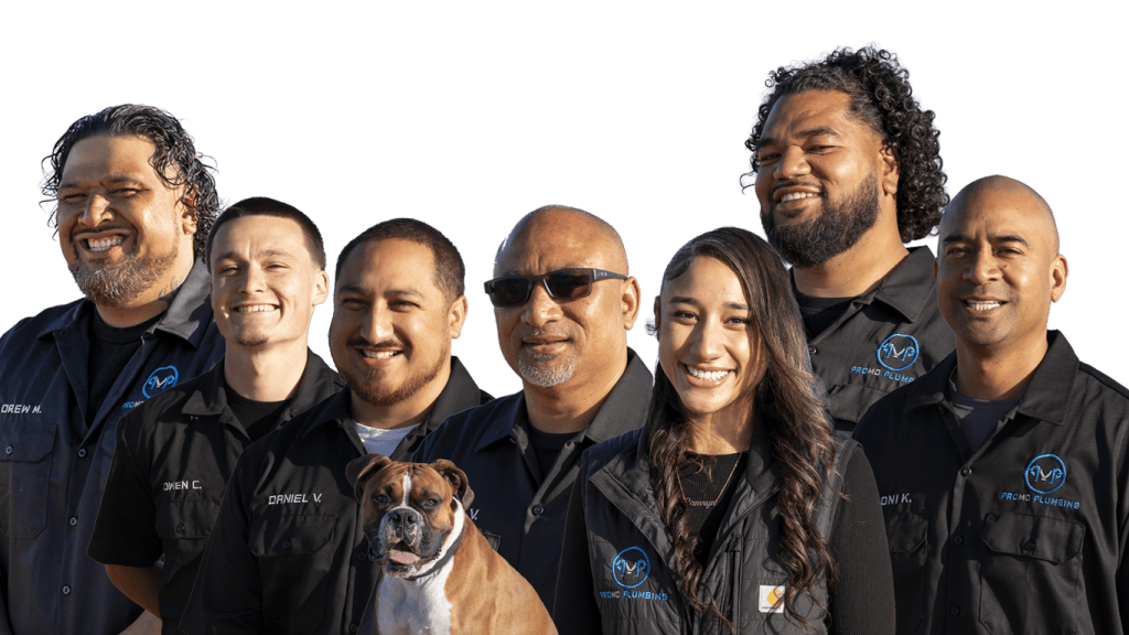 urgent plumber in san mateo