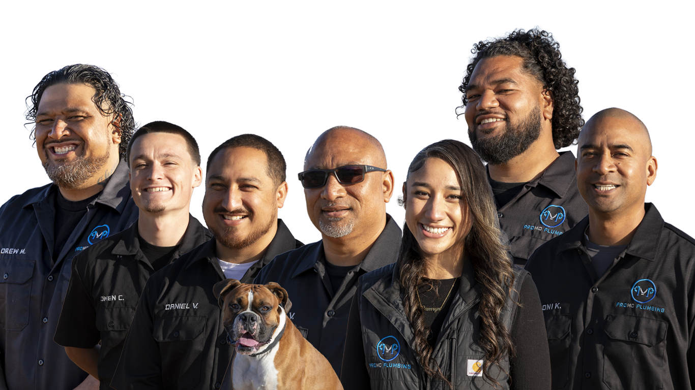 professional plumber in san mateo